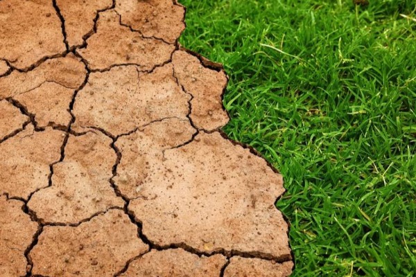 Žive laboratorije u borbi protiv dezertifikacije