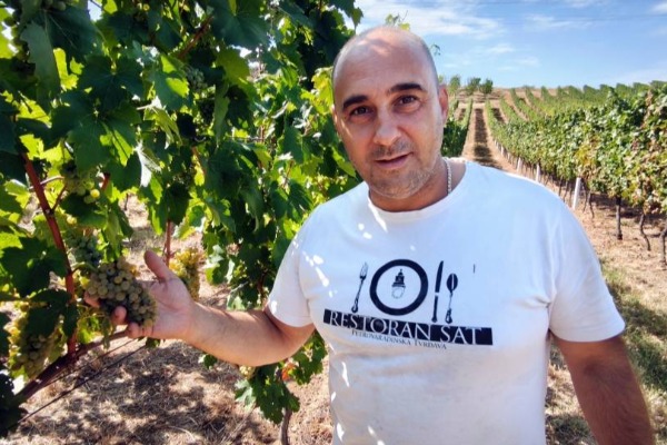 Tradicija utkana u svaku bobicu: Kako vinarija „Verus Kiš” stvara vrhunska vina Sremskih Karlovaca
