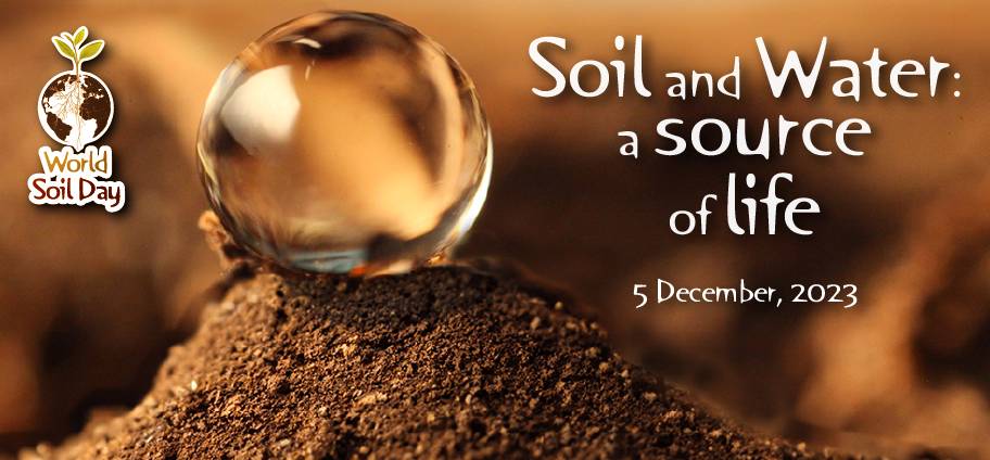 2023-world-soil-day-2.jpg (56 KB)