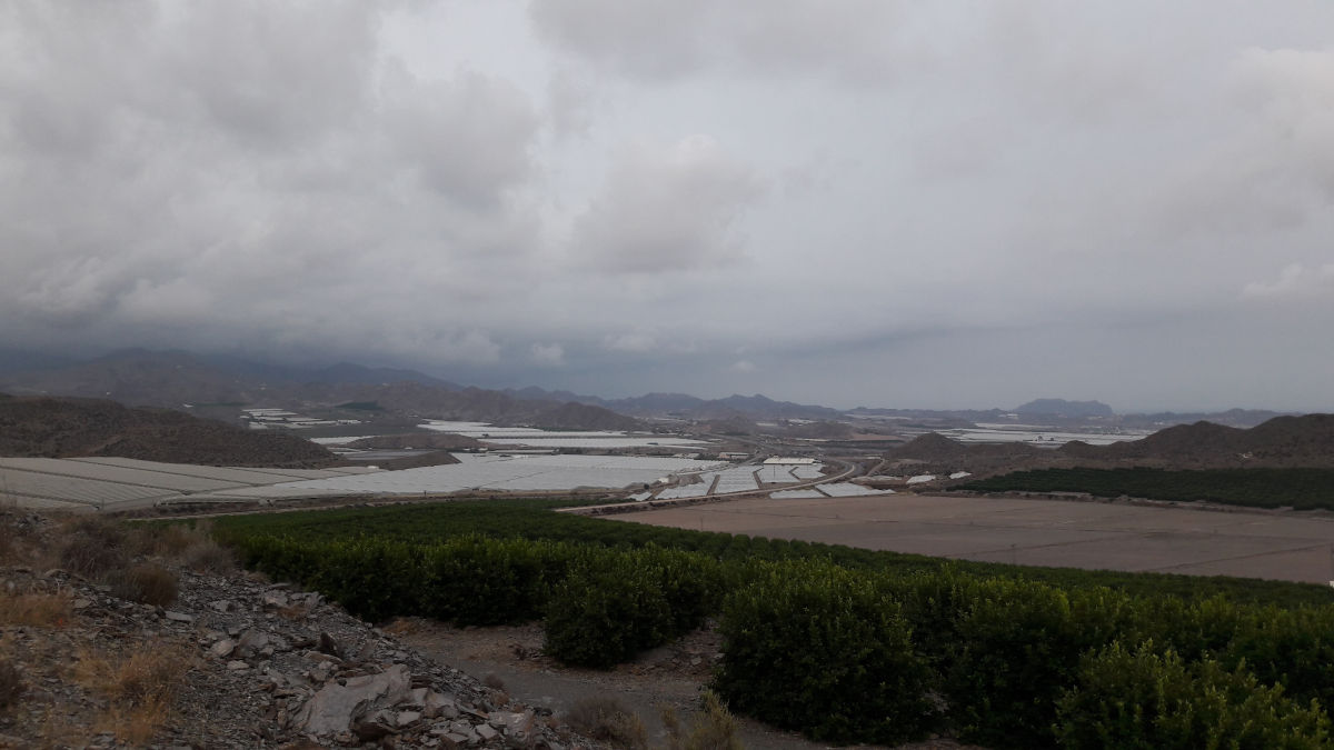 2023-plastenici-Almeria.jpg (85 KB)