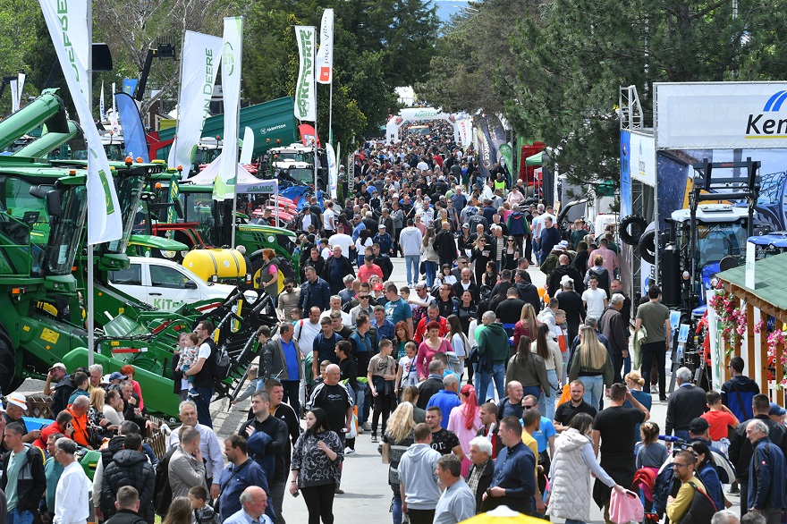 2025-MPS-Aleja.jpg (377 KB)