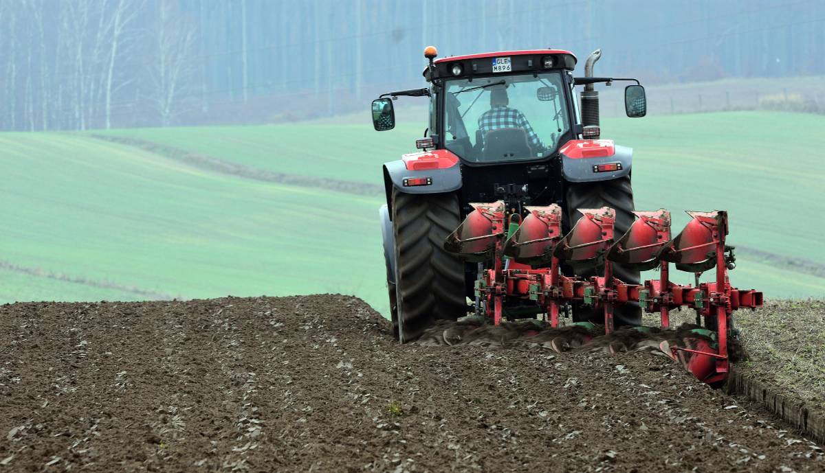 2026-oranje.jpg (124 KB)