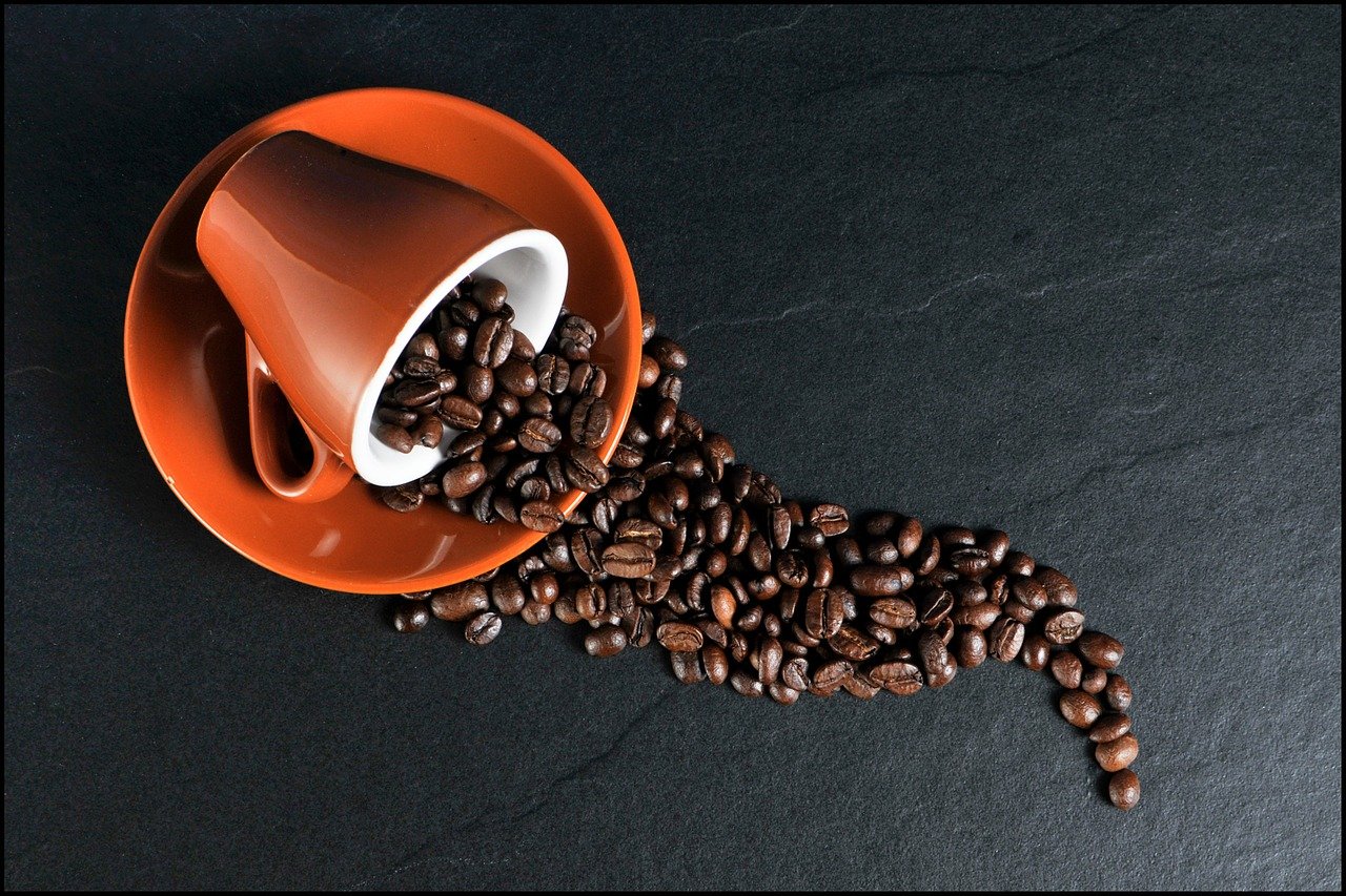 2021-kafa-soljica-zrno 2021-kafa-soljica-zrno.jpg (285 KB)