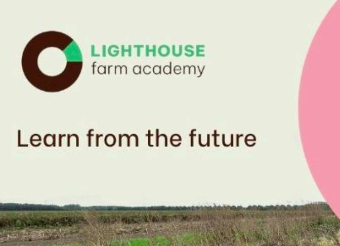 2026-lighthouse-academy.jpg (24 KB)