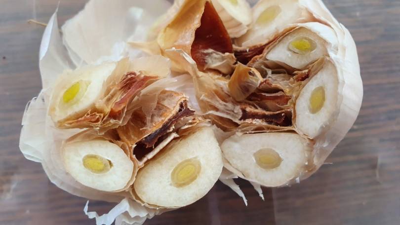2026-Simptom-Fusarium-spp-na-belom-luku.jpg (40 KB)