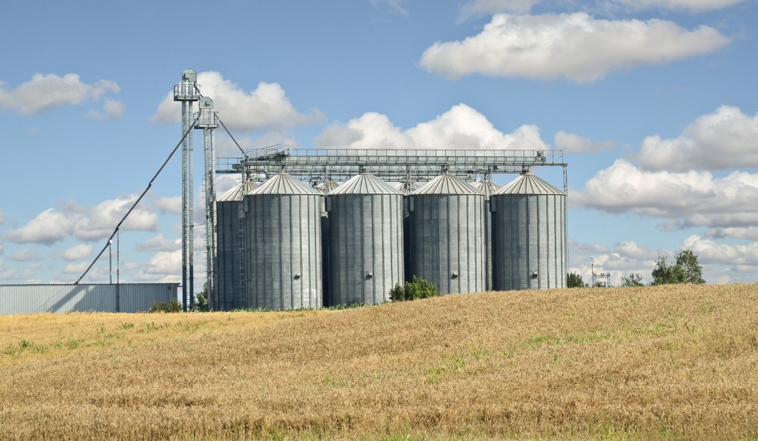 2025-silos-psenica.jpg (198 KB)