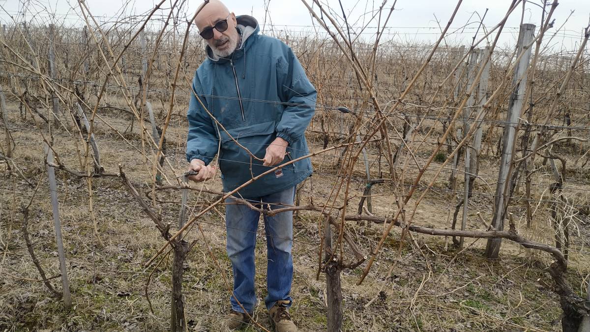 2026. branko-mladjenovic.jpg (226 KB)