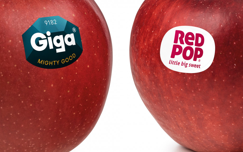 2021-giga-redpop 2021-giga-redpop.jpg (136 KB)