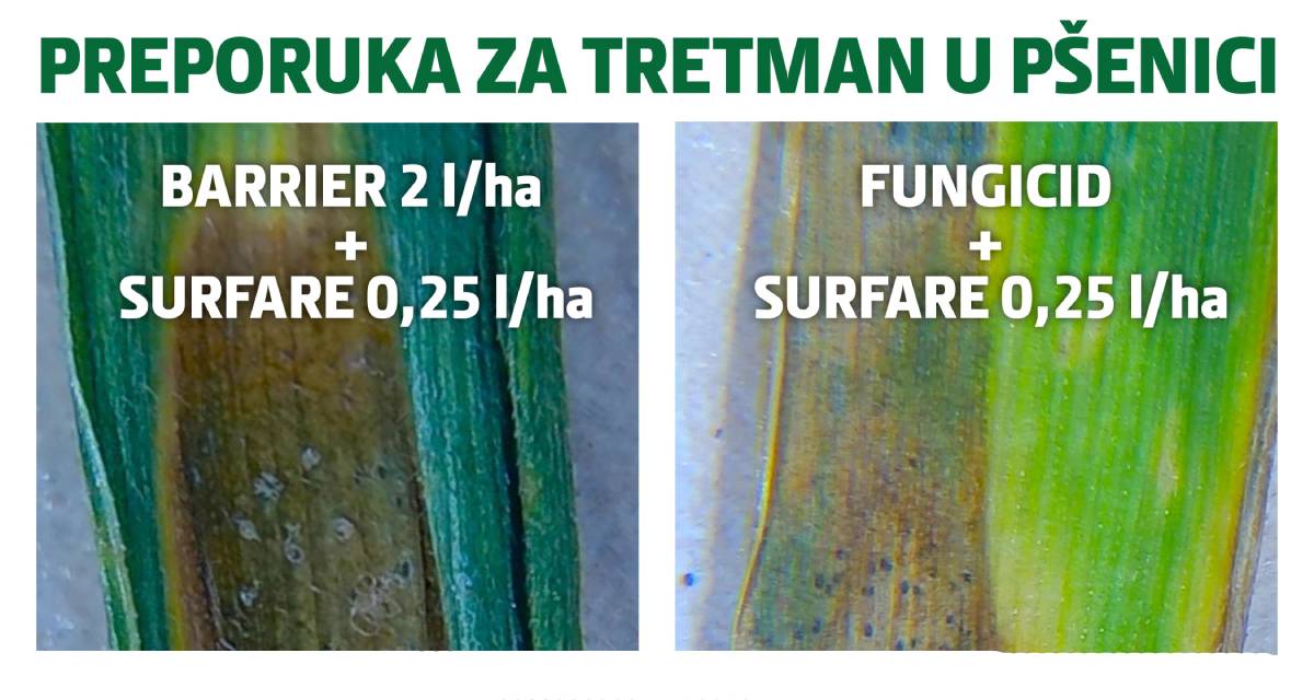 2025-TUP-2 2025-TUP-2.jpg (92 KB)