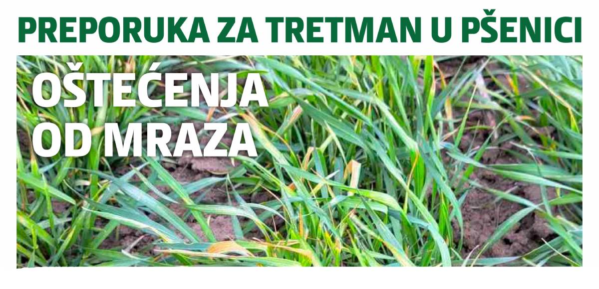 2025-TUP-3 2025-TUP-3.jpg (115 KB)