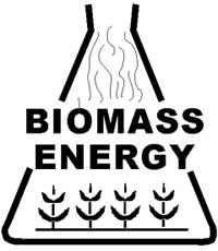 Energija u biomasi