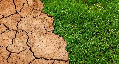 Kako klimatske promene ugrožavaju i zemlju pod našim nogama?