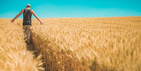 Osiguranje u poljoprivredi – rezultati istraživanja