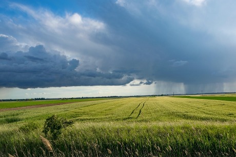 Uranilovke i infrastrukturna zapostavljenost devastiraju poljoprivredu i sela Srbije