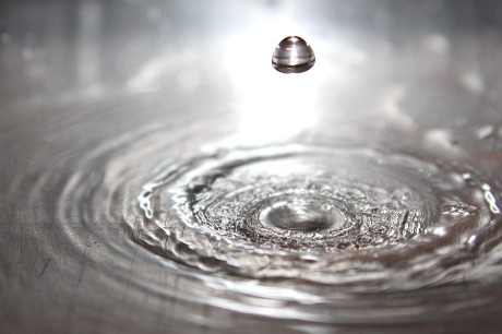 Rakija i voda: kako izbor između destilovane i demineralizovane utiče na kvalitet pića