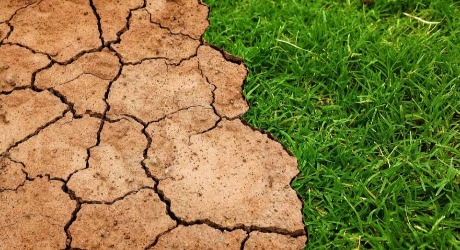 Žive laboratorije u borbi protiv dezertifikacije