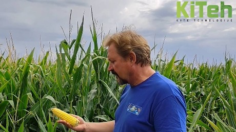 Iskustva korisnika KiTeh usluga - 7. jul Sirig  