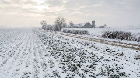 Januarski sneg najbolja polisa osiguranja 