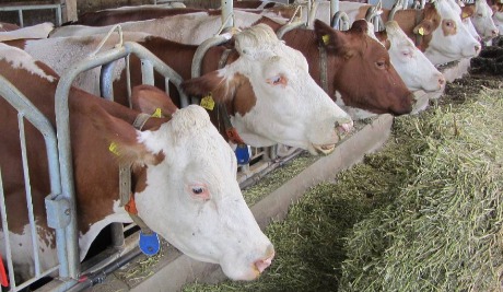 Tri pitanja za Ministarstvo poljoprivrede