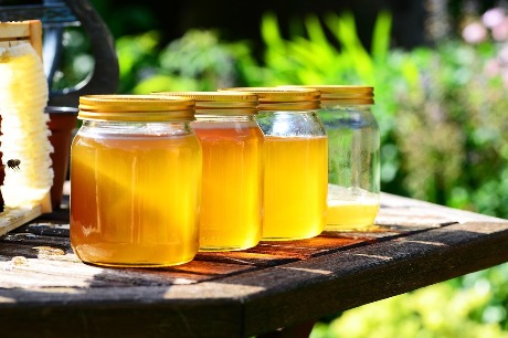 Falsifikatori guraju srpsko pčelarstvo na ivicu opstanka