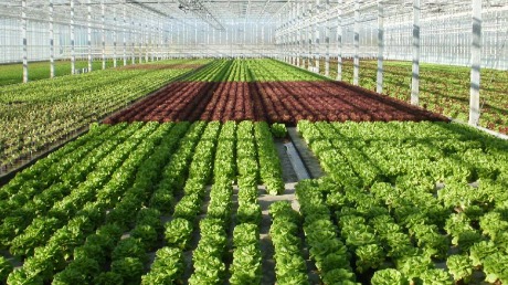 Odgovori na pet pitanja koja čuvaju novac budućem agro-investitoru