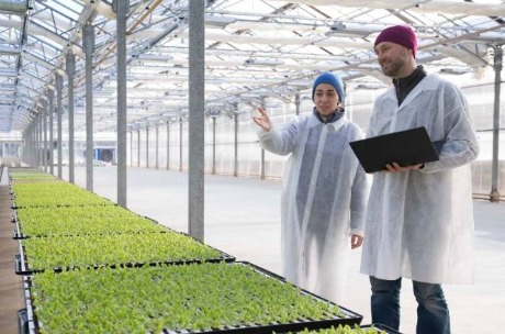 Da li je vertikalno povrtarstvo osuđeno na bankrot? Pouke iz propasti vertikalnih farmi 