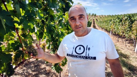 Tradicija utkana u svaku bobicu: Kako vinarija „Verus Kiš” stvara vrhunska vina Sremskih Karlovaca
