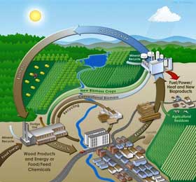 Podrška proizvodnji bioenergije