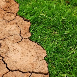 Žive laboratorije u borbi protiv dezertifikacije