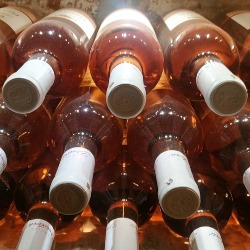 Tribina „Istine i mitovi o vinu, pivu i jakim alkoholnim pićima“