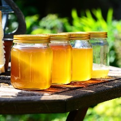 Falsifikatori guraju srpsko pčelarstvo na ivicu opstanka