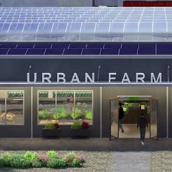 Holandski recept za gradove: Spoj najsavremenijeg staklenika i prodavnice u  komšiluku