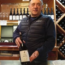 Zmajevac u čaši: nova vinarija Josić i Baranja kakvu volimo