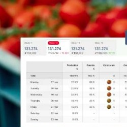 Veštačka inteligencija preciznije predviđa berbu paradajza