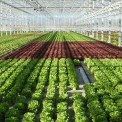 Odgovori na pet pitanja koja čuvaju novac budućem agro-investitoru