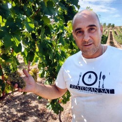 Tradicija utkana u svaku bobicu: Kako vinarija „Verus Kiš” stvara vrhunska vina Sremskih Karlovaca