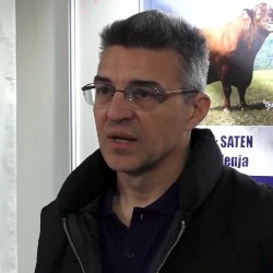 Od DNK analize do kvalitetnijeg grla: Kako genetika menja govedarstvo 