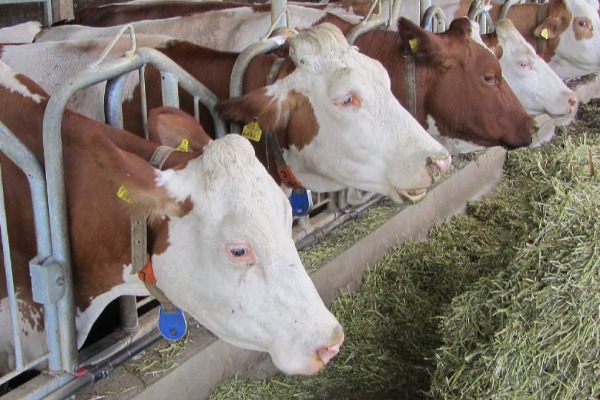 Tri pitanja za Ministarstvo poljoprivrede