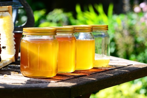 Falsifikatori guraju srpsko pčelarstvo na ivicu opstanka