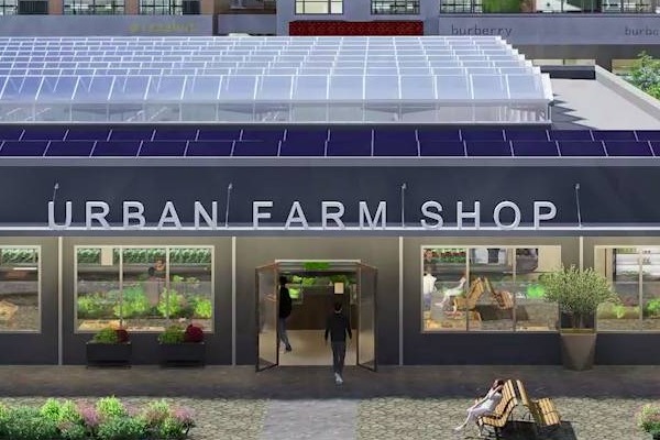 Holandski recept za gradove: Spoj najsavremenijeg staklenika i prodavnice u komšiluku