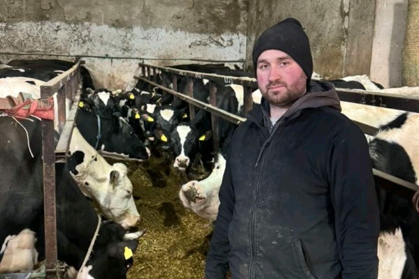 Potoci prosutog mleka samo ubrzavaju odumiranje srpskog sela