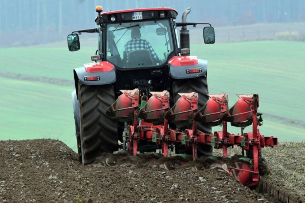 Pravda nakon decenija: Vraćeno više od 700 hektara državnog poljoprivrednog zemljišta u Sirigu i Čeneju